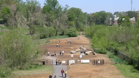 Dogs and owners in the off-leash dog park at Piedmont Park, Atlanta
