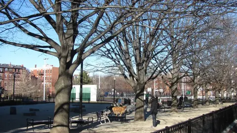 The fenced Joe Wex Dog Recreation Space in Boston